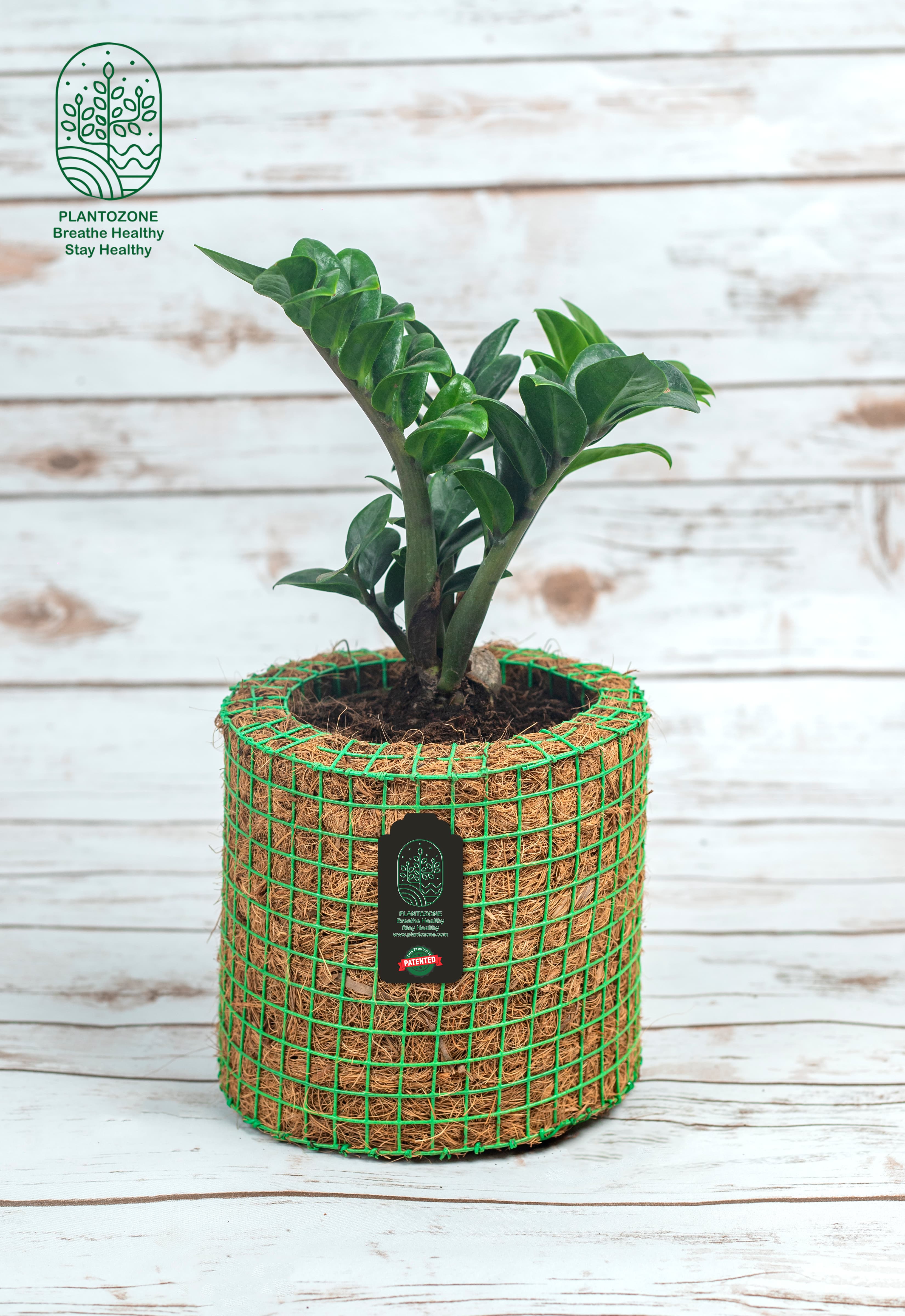 Nature's Special Offer Background