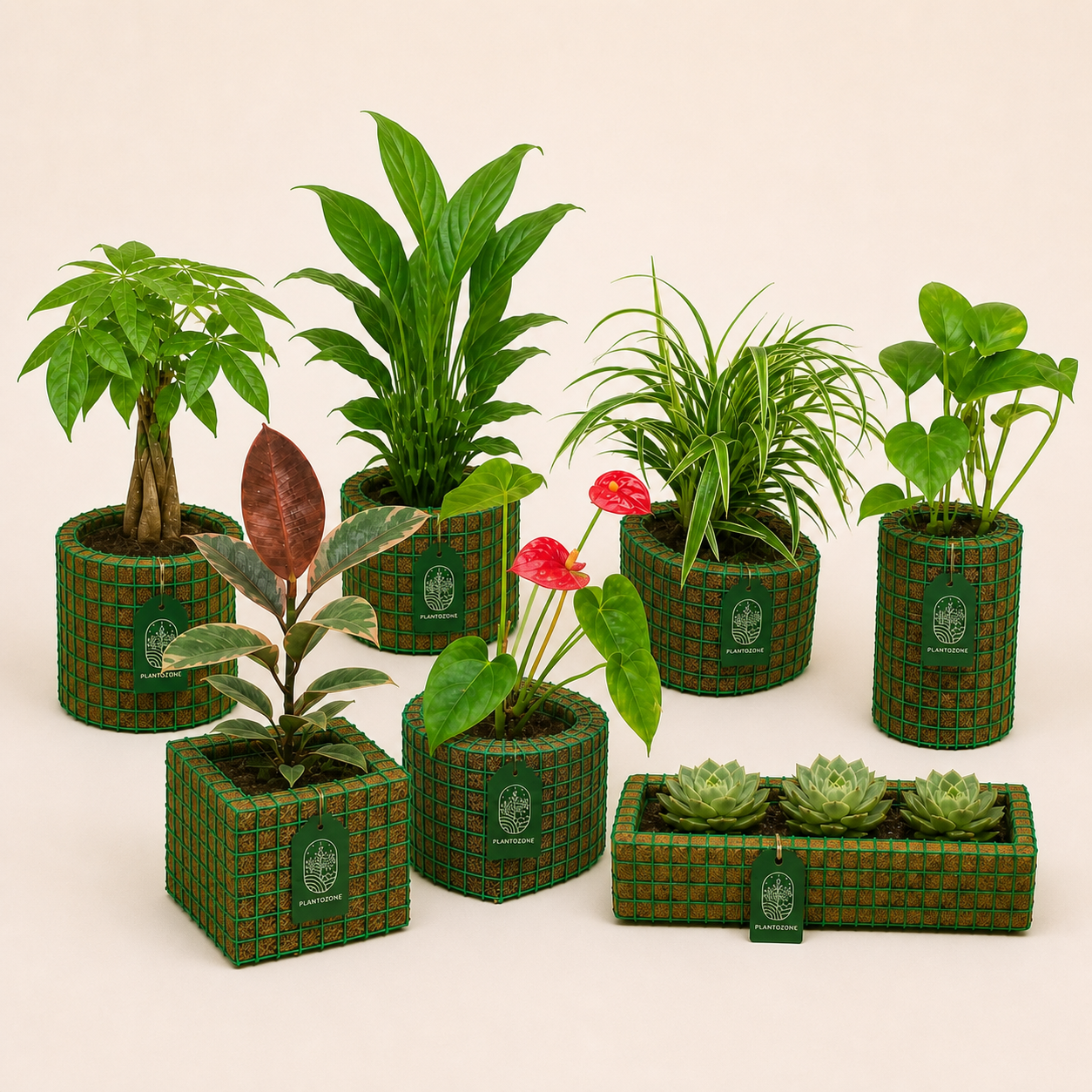 Original Plantozone planter collection displayed together