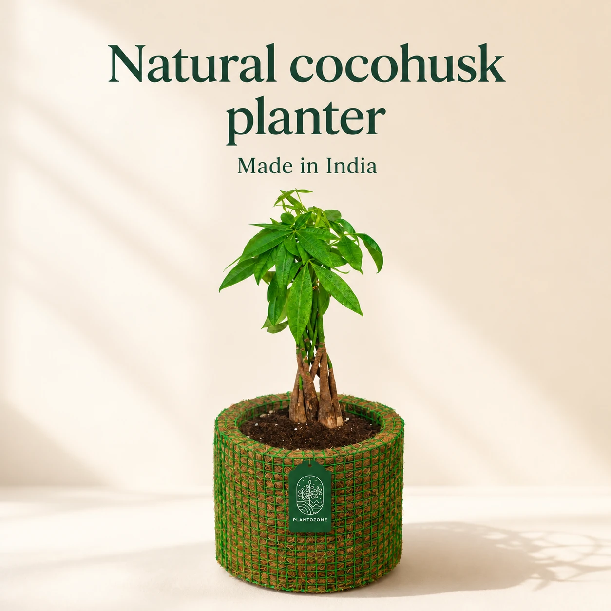 Natural Plantozone cocohusk planter made in India