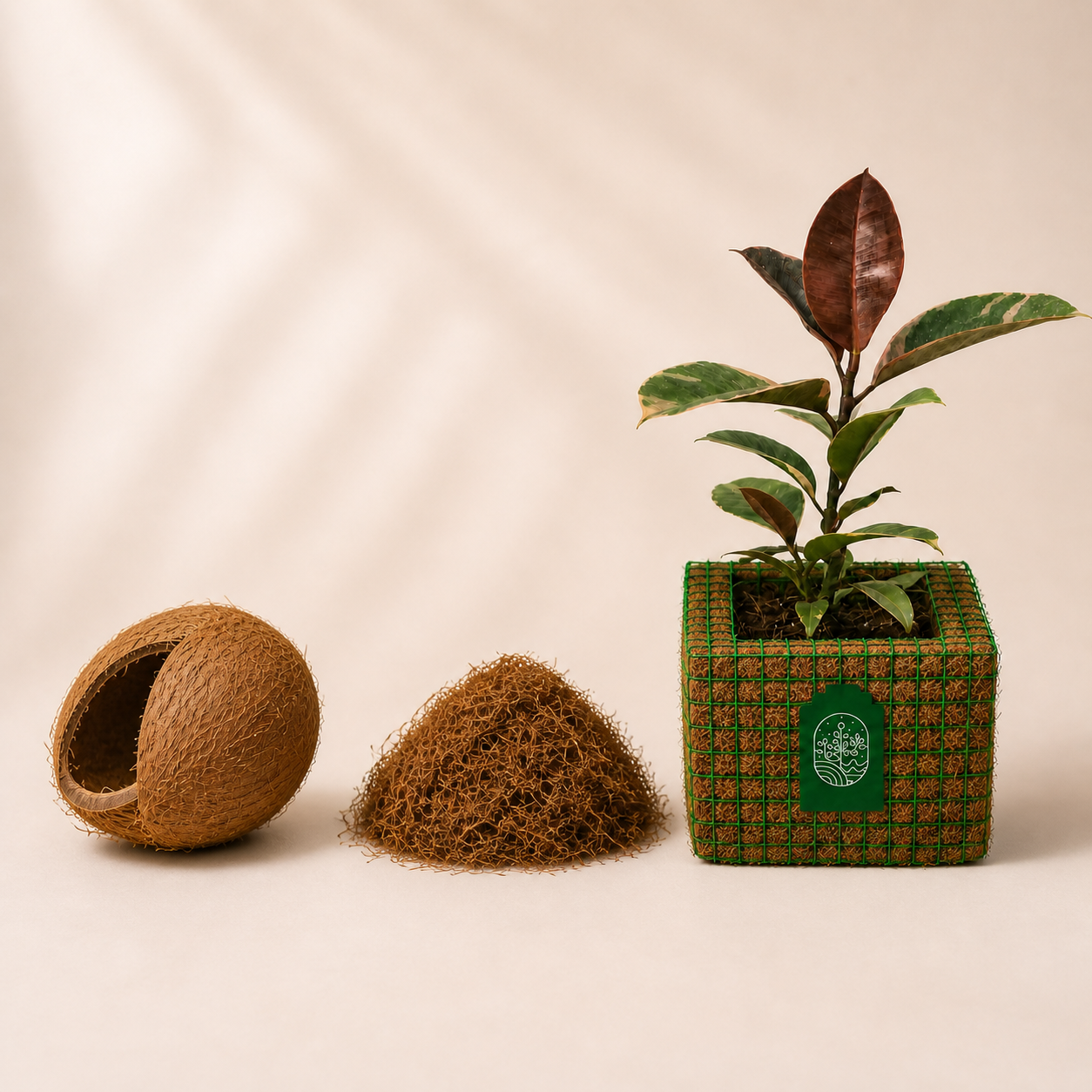Coconut shell, loose husk and an original Plantozone cocohusk planter