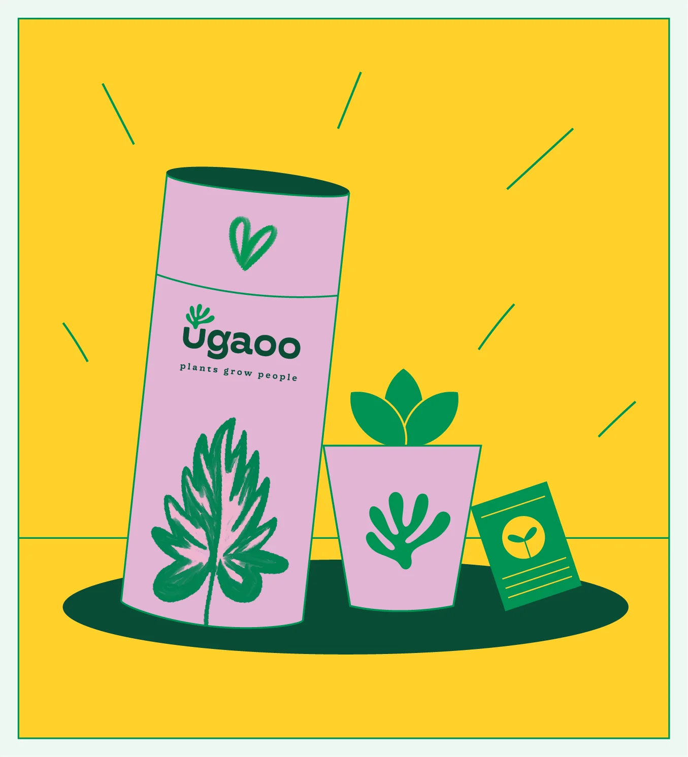Product package illustration
